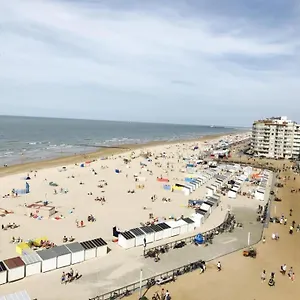 Franky , Oostende België